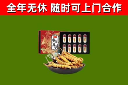 阿城烟酒回收冬虫夏草礼盒.jpg